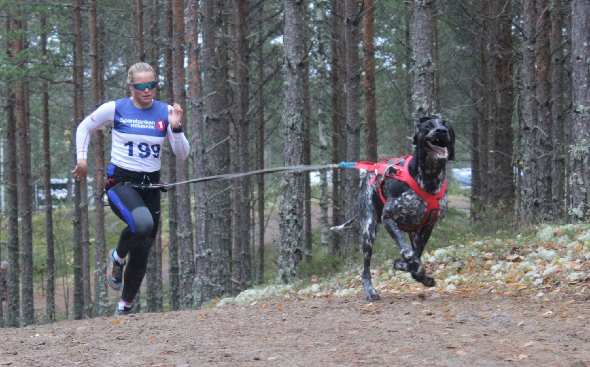 Klubbmesterskap